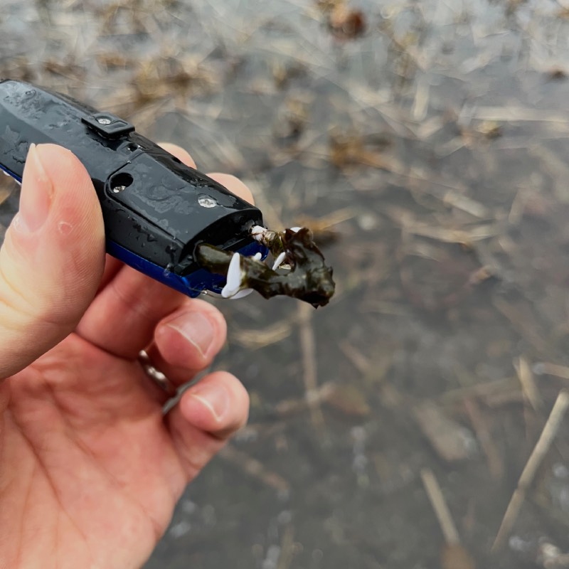 Ferngesteuertes Boot: "Mini RC" von Revell Control im Review von Revell Control ©https://dadslife.at