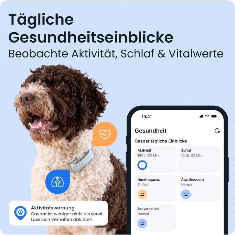 GPS Tracker Hund "2025 Edition" von Tractive