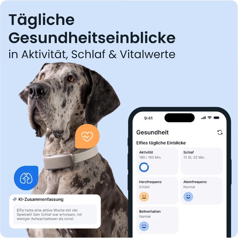 GPS Tracker Hund "XL" von Tractive