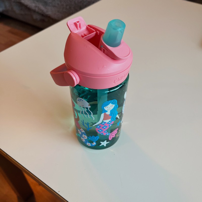 Trinkflasche: "Thrive Flip Straw Kids" von CamelBak im Review von CamelBak ©https://dadslife.at