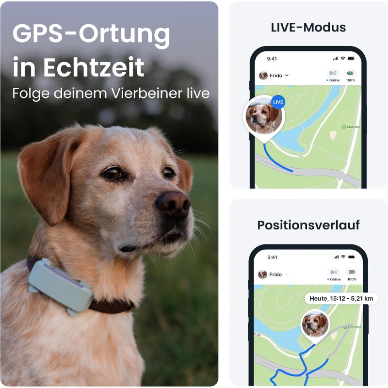 GPS Tracker Hund "2025 Edition" von Tractive