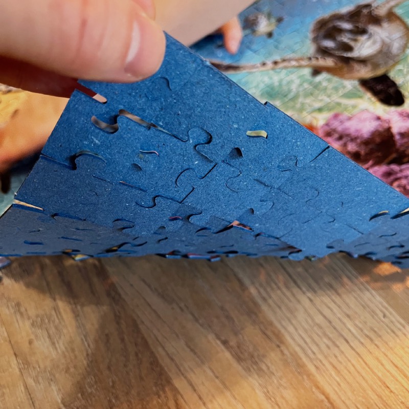 Familienpuzzle: "Meeresschildkröten (500 Teile)" von Ravensburger im Review von Ravensburger ©https://dadslife.at