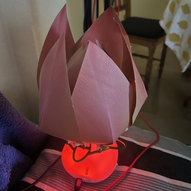 Experimentierkasten: "Robotic Flower" von Kosmos im Review von Kosmos ©https://dadslife.at