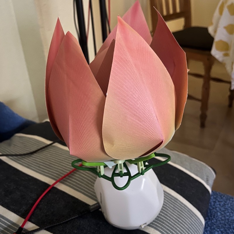 Experimentierkasten: "Robotic Flower" von Kosmos im Review von Kosmos ©https://dadslife.at