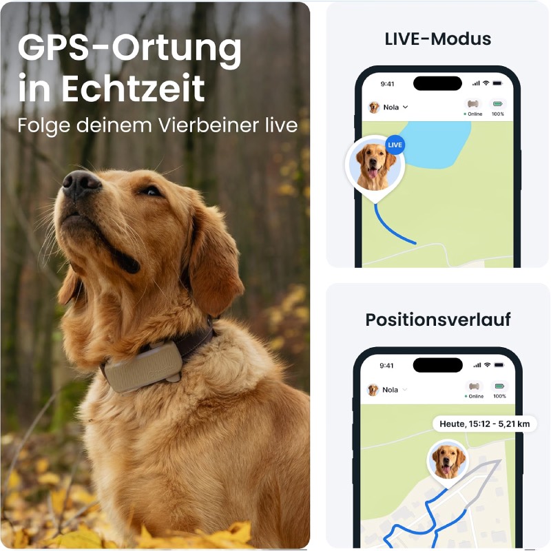 GPS Tracker Hund "XL" von Tractive
