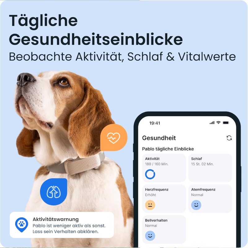 GPS-Tracker für Hunde "DOG 6" von Tractive