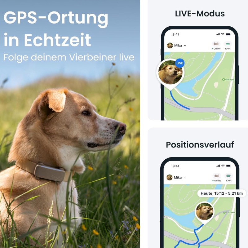 GPS-Tracker für Hunde "DOG 6" von Tractive